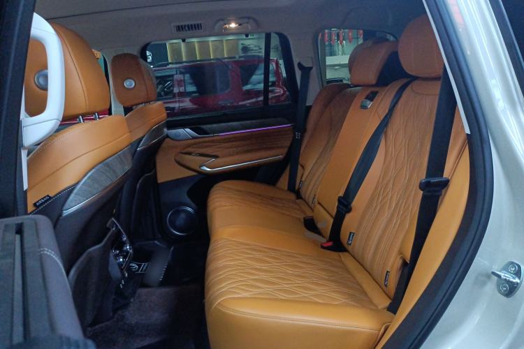 Used Tank 500 2022 3.0T Business Edition "Creation Realm" Design 5-Seater Left Rear Seat