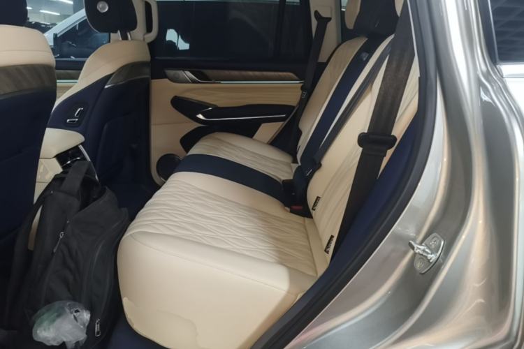 Used Tank 500 2022 3.0T Sport Edition "Creation" Version 5-Seater Left Rear Seat