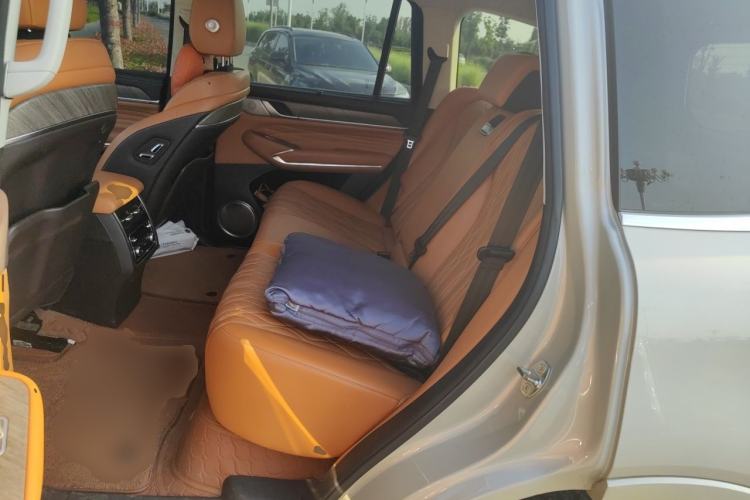 Used Tank 500 2022 3.0T Business Edition "Creation Realm" Design 5-Seater Left Rear Seat