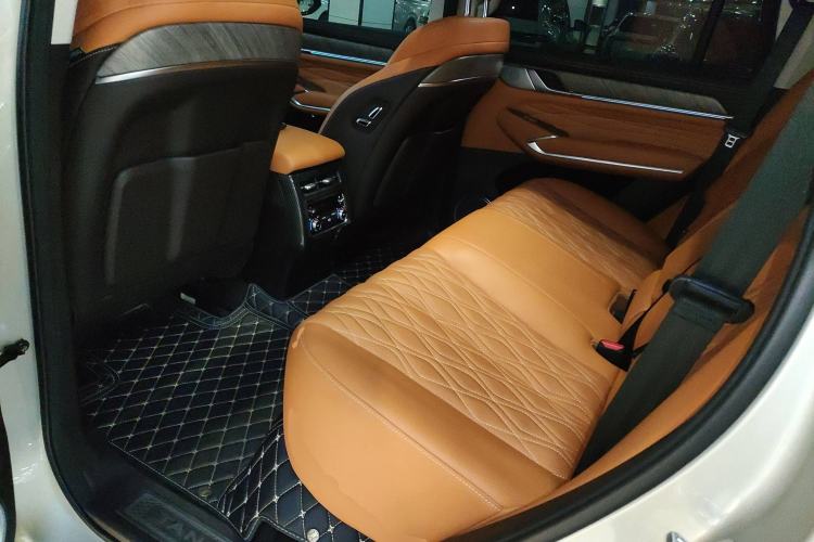 Used Tank 500 2022 3.0T Business Edition "Creation Realm" Design 5-Seater Left Rear Seat