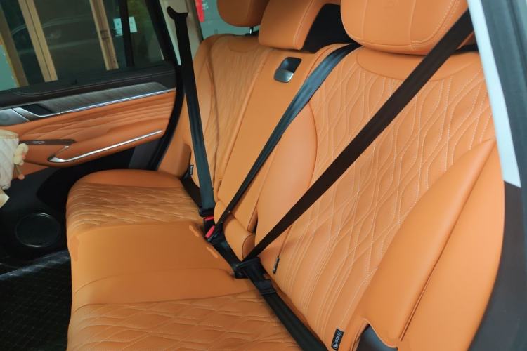 Used Tank 500 2022 3.0T Business Edition "Creation Realm" Design 5-Seater Left Rear Seat