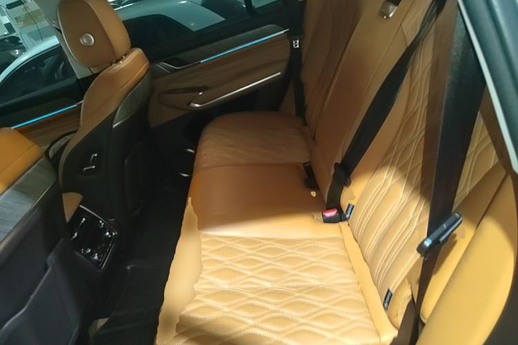 Used Tank 500 2022 3.0T Sport Edition "Creation" Version 5-Seater Left Rear Seat