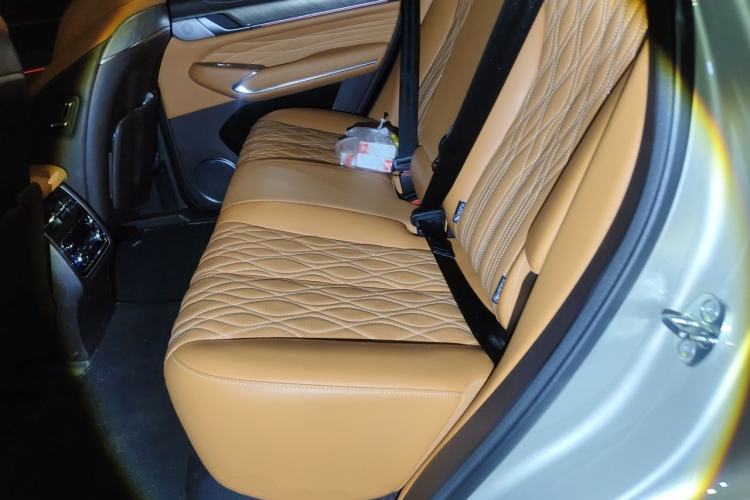 Used Tank 500 2022 3.0T Sport Edition "Creation" Version 5-Seater Left Rear Seat
