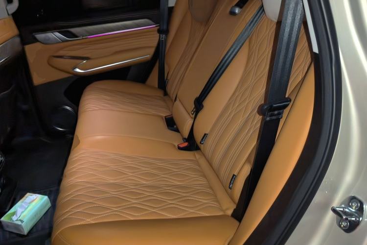 Used Tank 500 2022 3.0T Business Edition "Creation Realm" Design 5-Seater Left Rear Seat