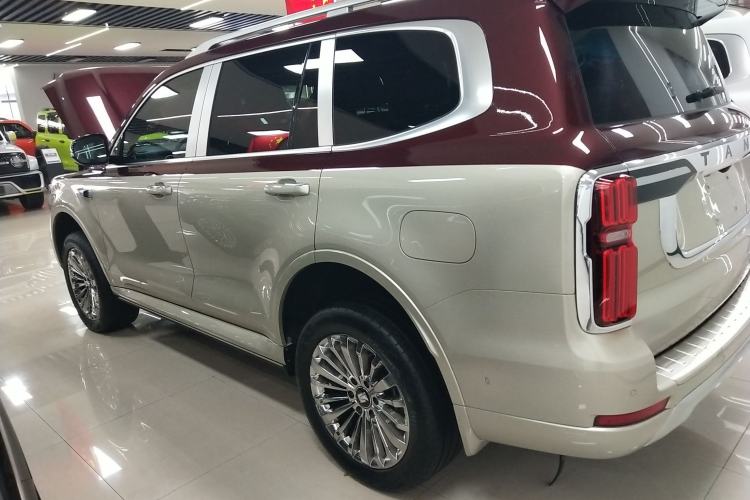 Used Tank 500 2022 3.0T High-End Custom Edition 5 Seats Left Side