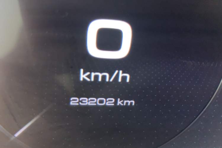 Used Tank 500 2022 3.0T Business Edition "Creation Realm" Design 5-Seater Odometer Close Up