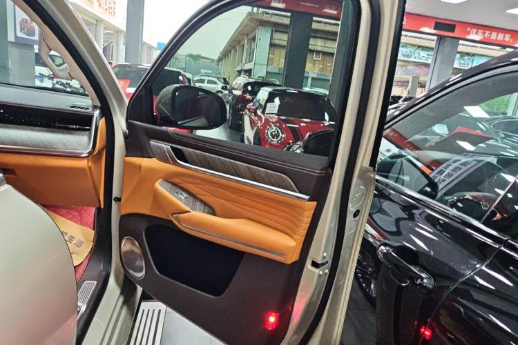 Used Tank 500 2022 3.0T Business Edition "Creation Realm" Design 5-Seater Right Front Door Interior