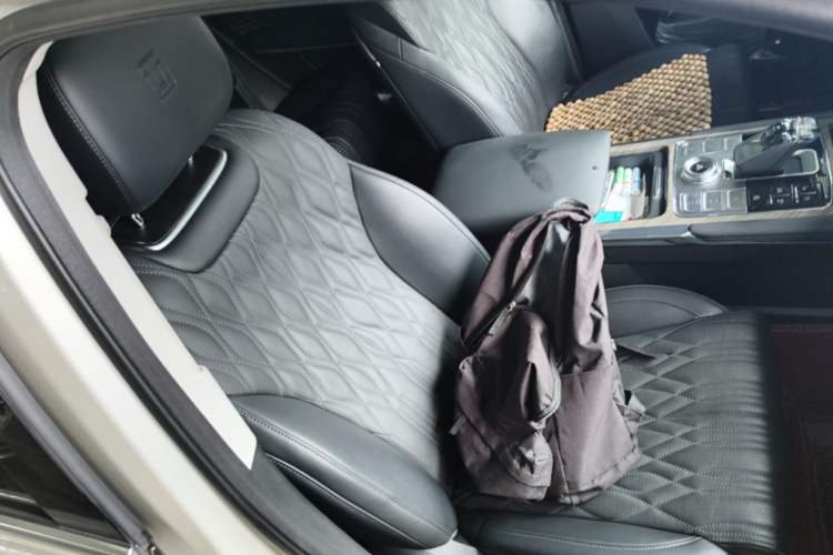 Used Tank 500 2022 3.0T Sport Edition "Creation" Version 5-Seater Right Front Seat