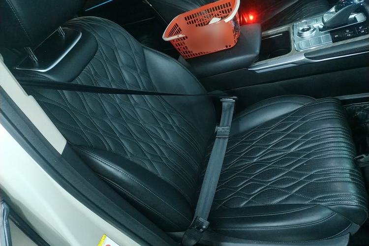 Used Tank 500 2022 3.0T Sport Edition "Creation" Version 5-Seater Right Front Seat