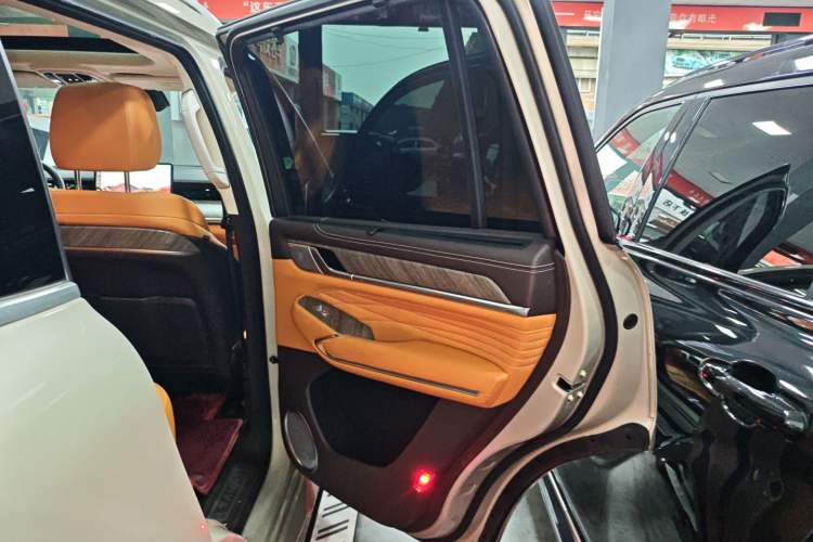 Used Tank 500 2022 3.0T Business Edition "Creation Realm" Design 5-Seater Right Rear Door Interior