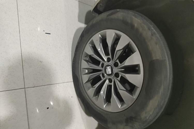Used Tank 500 2022 3.0T Sport Edition "Creation" Version 5-Seater Right Rear Wheel Hub