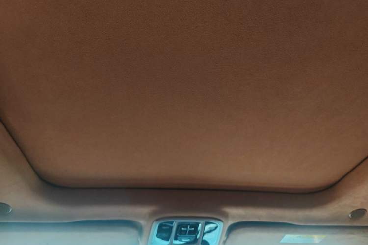 Used Tank 500 2022 3.0T High-End Custom Edition 5 Seats Headliner