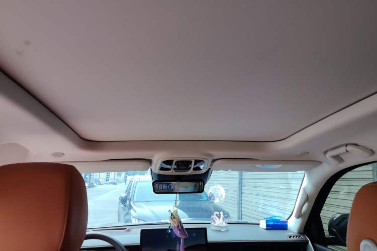 Used Tank 500 2022 3.0T Business Edition "Creation Realm" Design 5-Seater Headliner