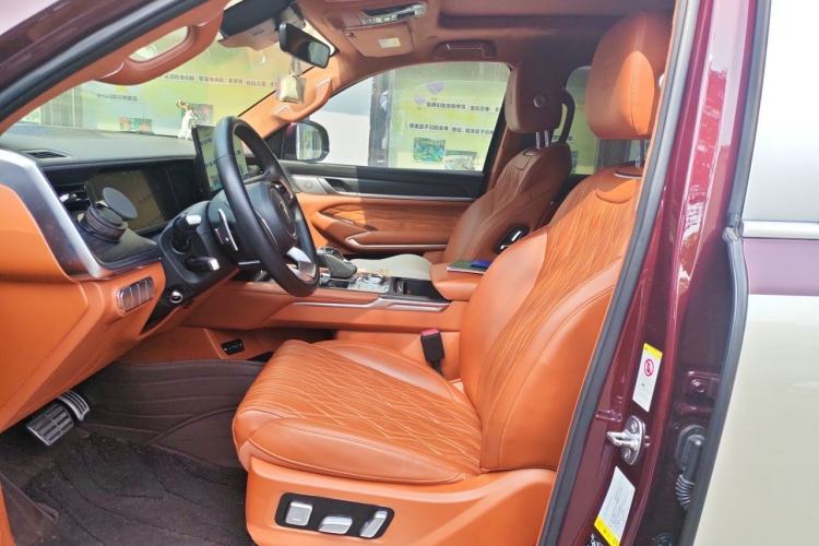 Used Tank 500 2022 3.0T High-End Custom Edition 5 Seats Left Front Seat