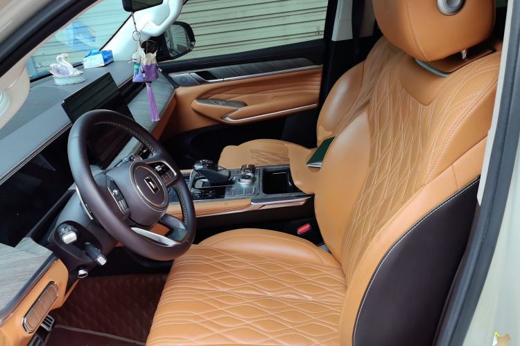 Used Tank 500 2022 3.0T Business Edition "Creation Realm" Design 5-Seater Left Front Seat