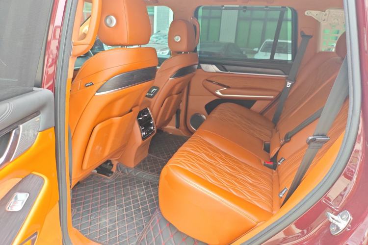 Used Tank 500 2022 3.0T High-End Custom Edition 5 Seats Left Rear Seat