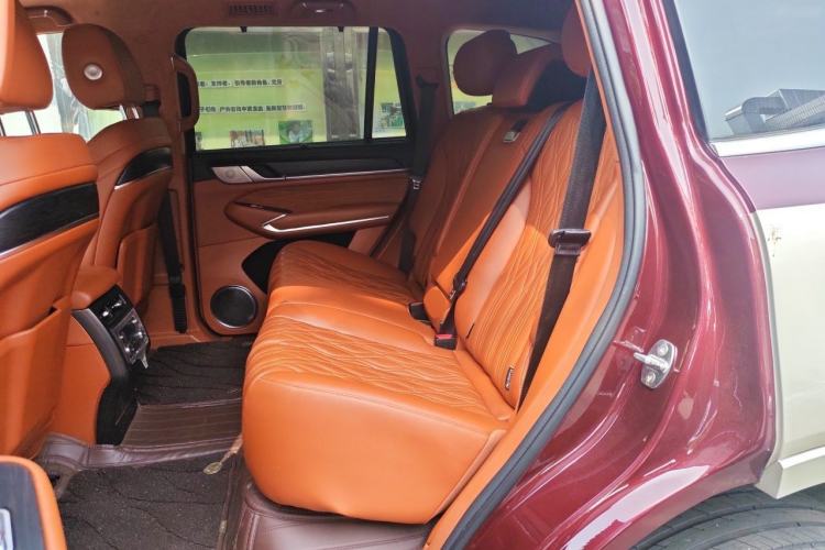 Used Tank 500 2022 3.0T High-End Custom Edition 5 Seats Left Rear Seat