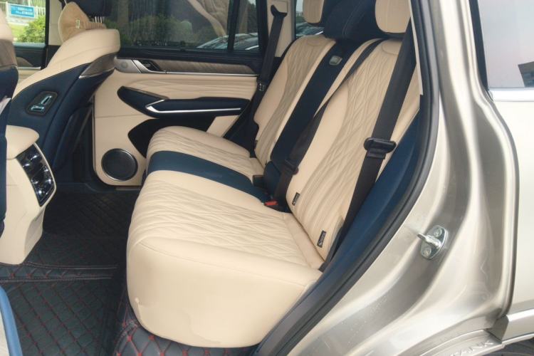 Used Tank 500 2022 3.0T Business Edition "Creation Realm" Design 5-Seater Left Rear Seat
