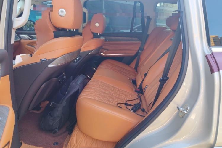 Used Tank 500 2022 3.0T Business Edition "Creation Realm" Design 5-Seater Left Rear Seat