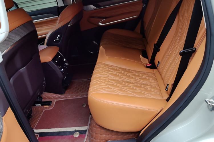 Used Tank 500 2022 3.0T Business Edition "Creation Realm" Design 5-Seater Left Rear Seat