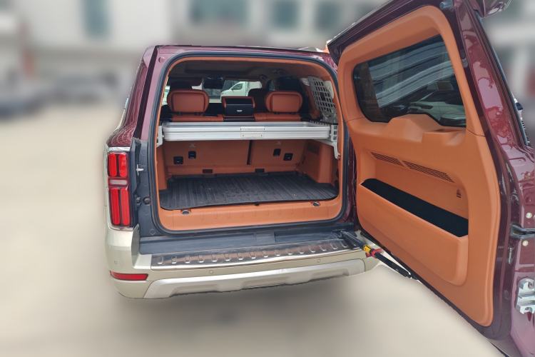 Used Tank 500 2022 3.0T High-End Custom Edition 5 Seats Trunk