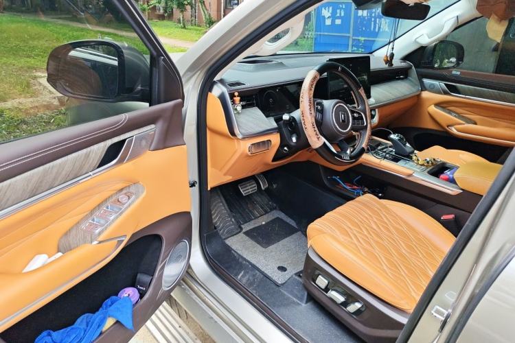 Used Tank 500 2022 3.0T Business Edition "Creation Realm" Design 5-Seater Driver Seat