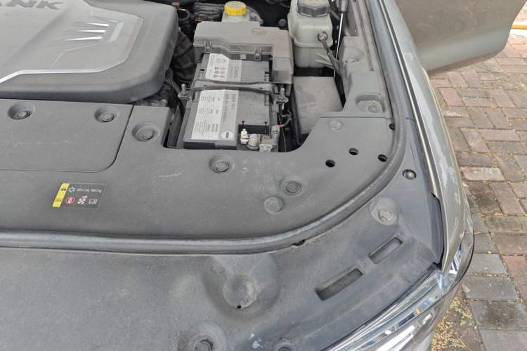 Used Tank 500 2022 3.0T Business Edition "Creation Realm" Design 5-Seater Engine Bay Left