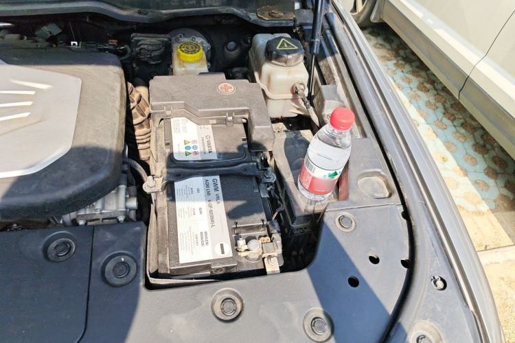Used Tank 500 2022 3.0T Business Edition "Creation Realm" Design 5-Seater Engine Bay Left