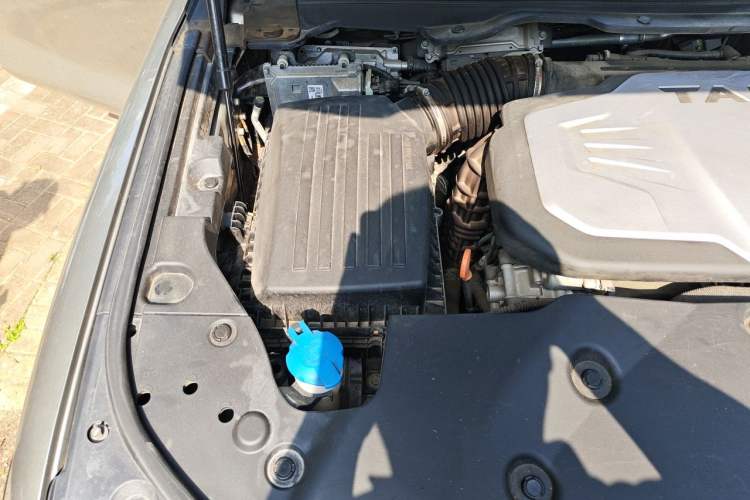 Used Tank 500 2022 3.0T Business Edition "Creation Realm" Design 5-Seater Engine Bay Right