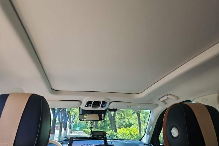 Used Tank 500 2022 3.0T Business Edition "Creation Realm" Design 5-Seater Headliner