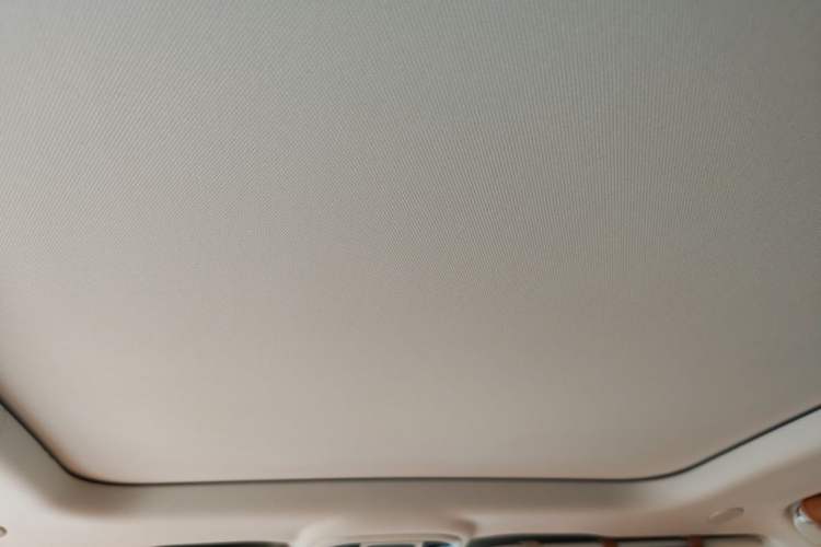 Used Tank 500 2022 3.0T Business Edition "Creation Realm" Design 5-Seater Headliner