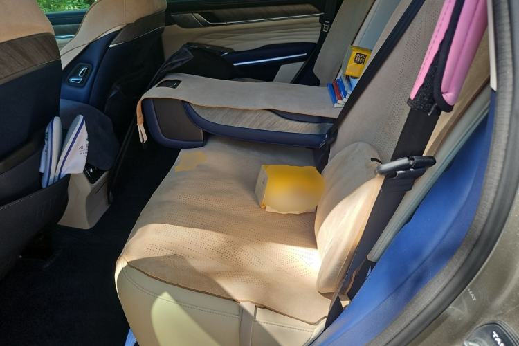 Used Tank 500 2022 3.0T Business Edition "Creation Realm" Design 5-Seater Left Rear Seat