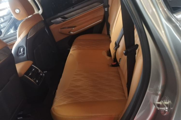 Used Tank 500 2022 3.0T Sport Edition "Creation" Version 5-Seater Left Rear Seat