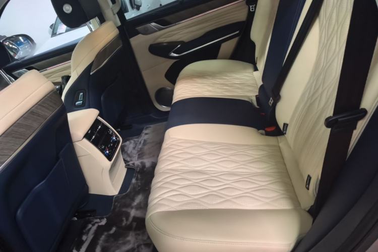 Used Tank 500 2022 3.0T Business Edition "Creation Realm" Design 5-Seater Left Rear Seat