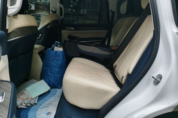 Used Tank 500 2022 3.0T Sport Edition "Creation" Version 5-Seater Left Rear Seat