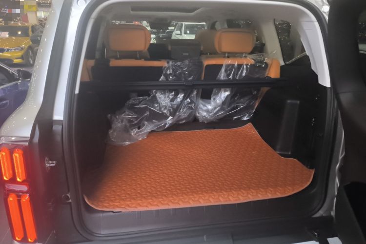 Used Tank 500 2022 3.0T Sport Edition "Creation" Version 5-Seater Trunk