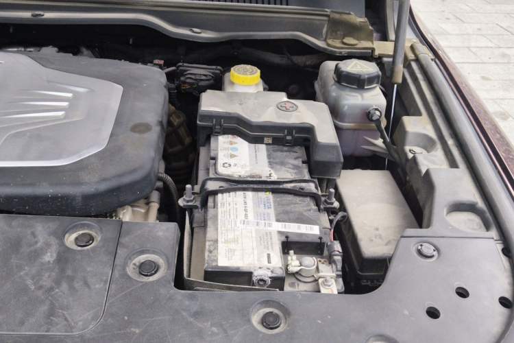 Used Tank 500 2022 3.0T High-End Custom Edition 5 Seats Engine Bay Left