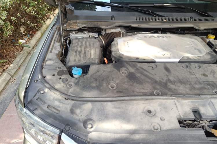 Used Tank 500 2022 3.0T Sport Edition "Creation" Version 5-Seater Engine Bay Right