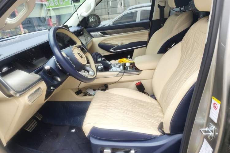 Used Tank 500 2022 3.0T Sport Edition "Creation" Version 5-Seater Left Front Seat