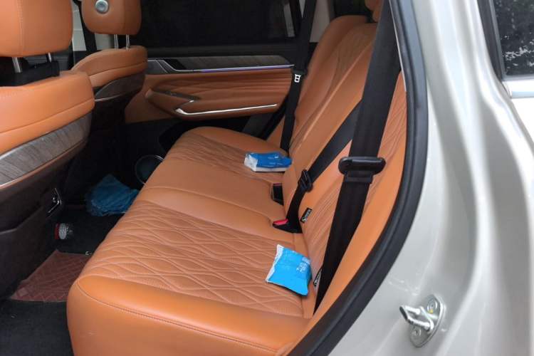 Used Tank 500 2022 3.0T Business Edition "Creation Realm" Design 5-Seater Left Rear Seat