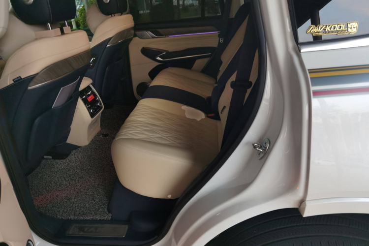 Used Tank 500 2022 3.0T Sport Edition "Creation" Version 5-Seater Left Rear Seat