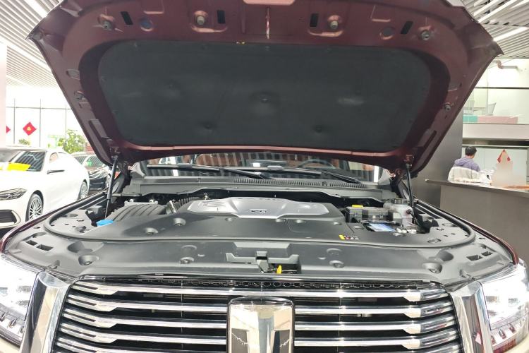 Used Tank 500 2022 3.0T High-End Custom Edition 5 Seats Engine Bay