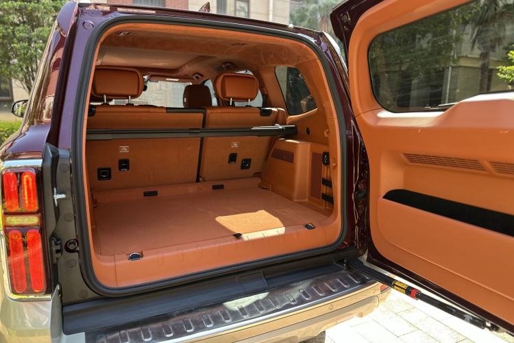 Used Tank 500 2022 3.0T High-End Custom Edition 5 Seats Exterior 8