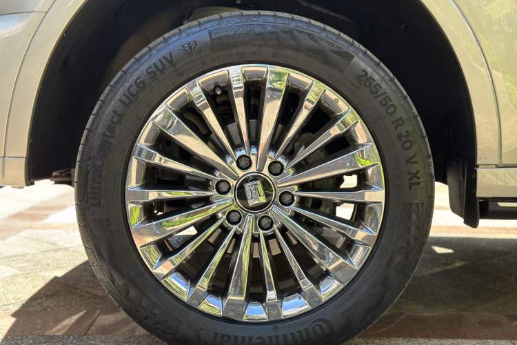 Used Tank 500 2022 3.0T High-End Custom Edition 5 Seats Exterior 9