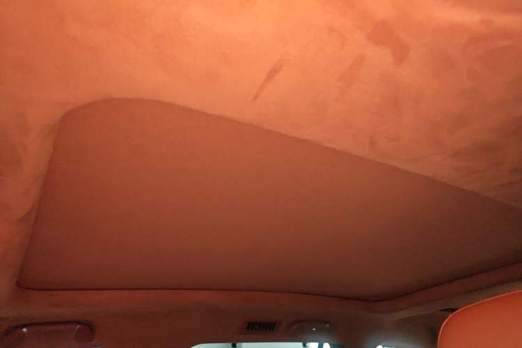 Used Tank 500 2022 3.0T High-End Custom Edition 5 Seats Headliner