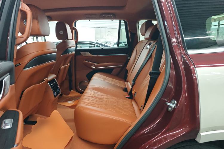 Used Tank 500 2022 3.0T High-End Custom Edition 5 Seats Left Rear Seat