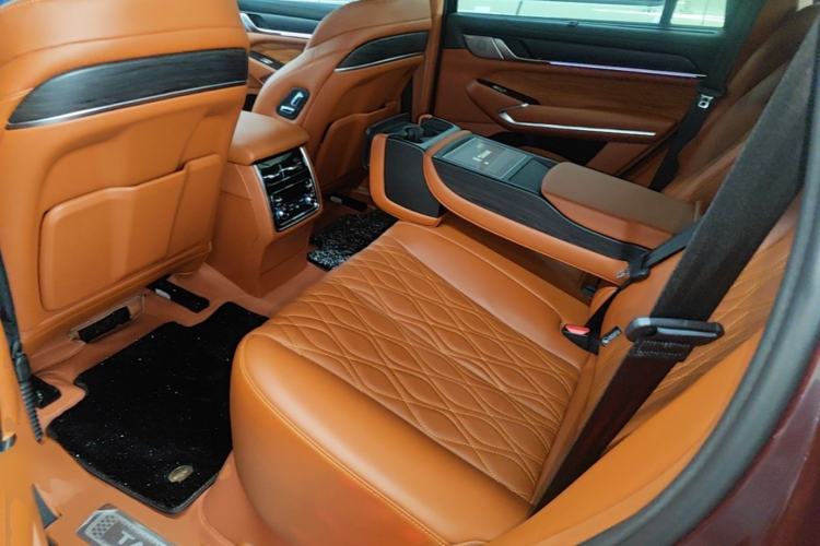 Used Tank 500 2022 3.0T High-End Custom Edition 5 Seats Left Rear Seat