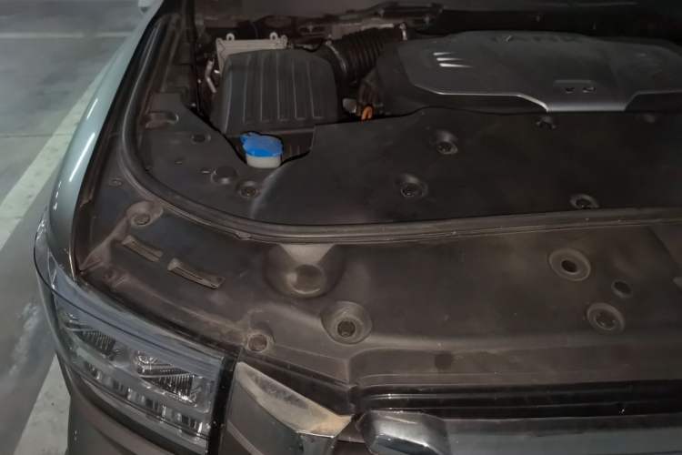 Used Tank 500 2022 3.0T Sport Edition "Creation" Version 5-Seater Engine Bay Right