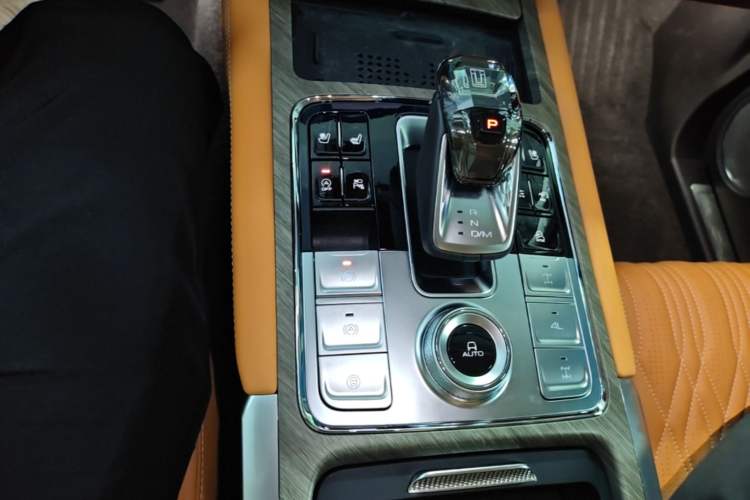 Used Tank 500 2022 3.0T Sport Edition "Creation" Version 5-Seater Gear Lever