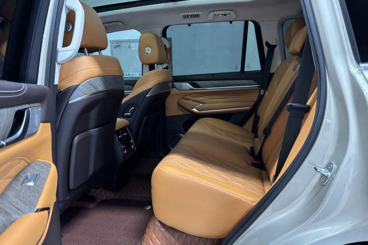 Used Tank 500 2022 3.0T Business Edition "Creation Realm" Design 5-Seater Headliner